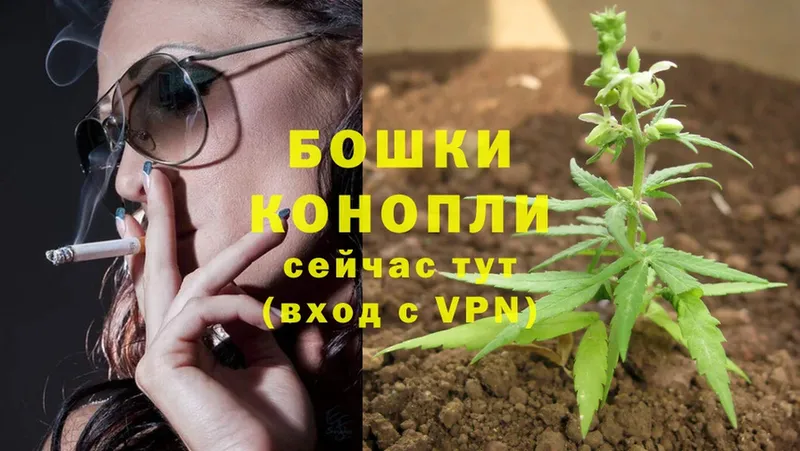 Марихуана Bruce Banner  цены   OMG как зайти  Гурьевск 